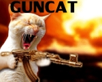 guncatpropic2